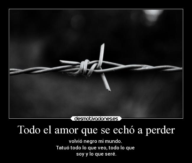 Todo el amor que se echó a perder - volvió negro mi mundo.
Tatuó todo lo que veo, todo lo que
soy y lo que seré.