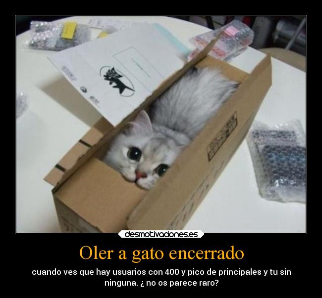 Oler a gato encerrado - cuando ves que hay usuarios con 400 y pico de principales y tu sin
ninguna. ¿ no os parece raro?