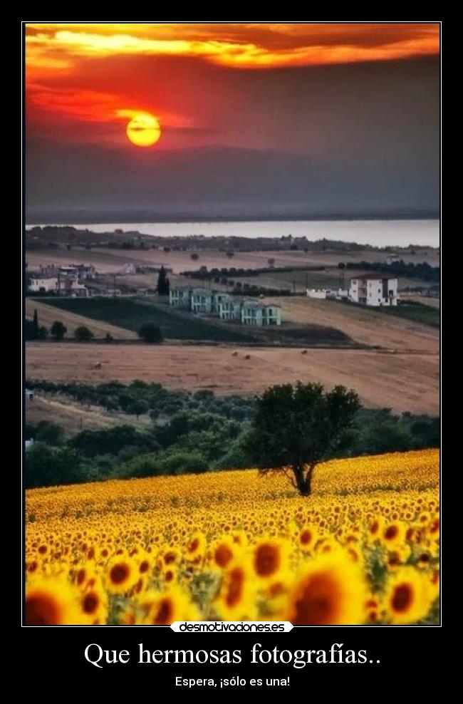 Que hermosas fotografías.. - Espera, ¡sólo es una!