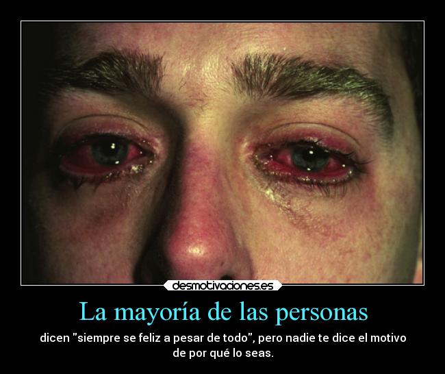 carteles sangre fria desmotivaciones