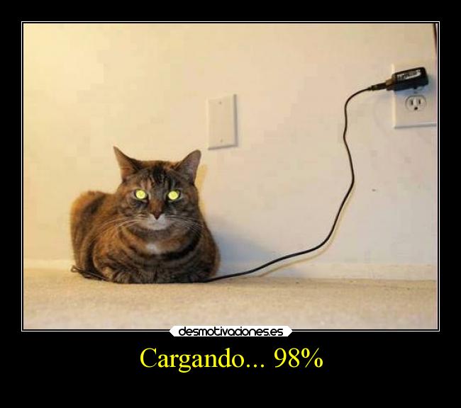 carteles humor gatos cargando desmotivaciones