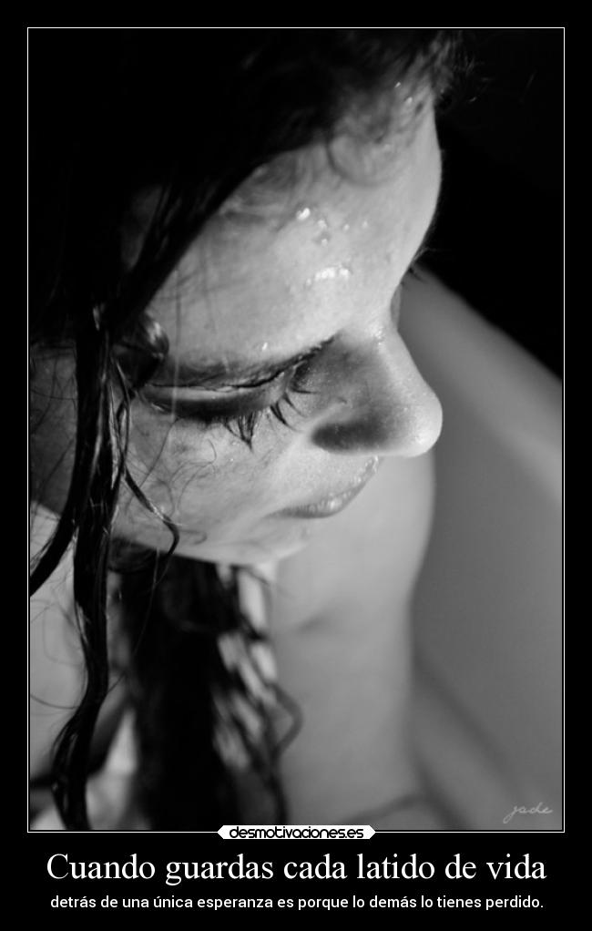 carteles vida esperanza ultimo que pierde tengo todo perdido desmotivaciones