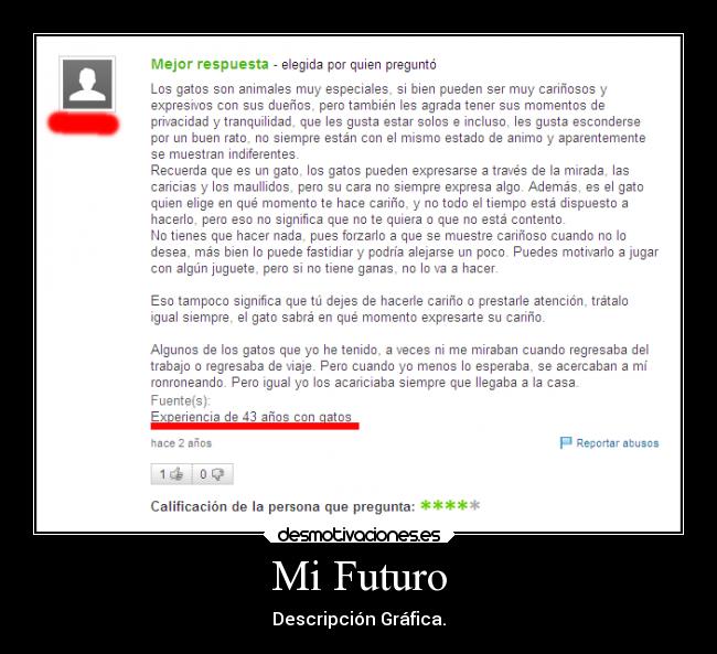 Mi Futuro - Descripción Gráfica.