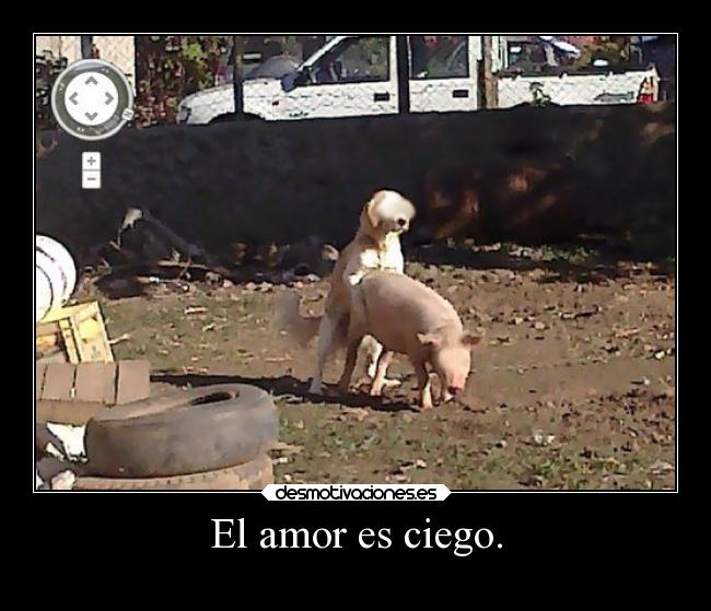 carteles amor humor tomaquetoma cientocincuentaytres fuente pi4nobl4ck amor desmotivaciones