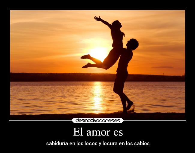 carteles amor amor querer queriendo sabiduria locura droke ahora vas twiteas desmotivaciones