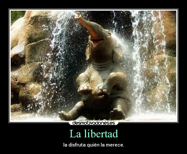 La libertad - la disfruta quién la merece.