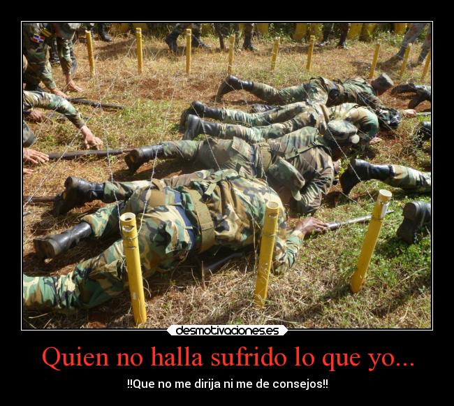 carteles expreciones desmotivaciones