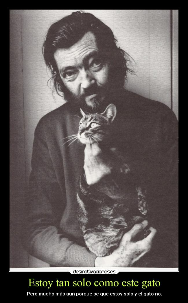 Estoy tan solo como este gato - Pero mucho más aun porque se que estoy solo y el gato no.