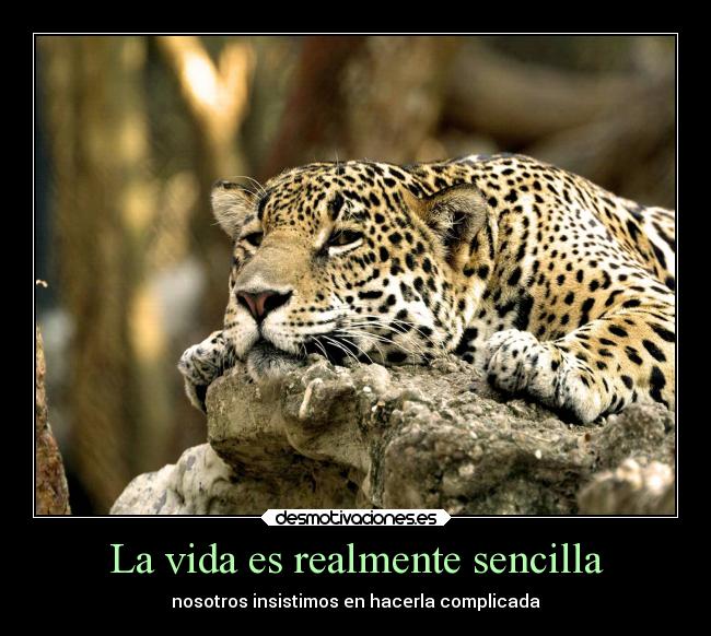 La vida es realmente sencilla - 