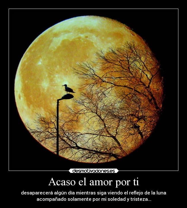 Acaso el amor por ti - 