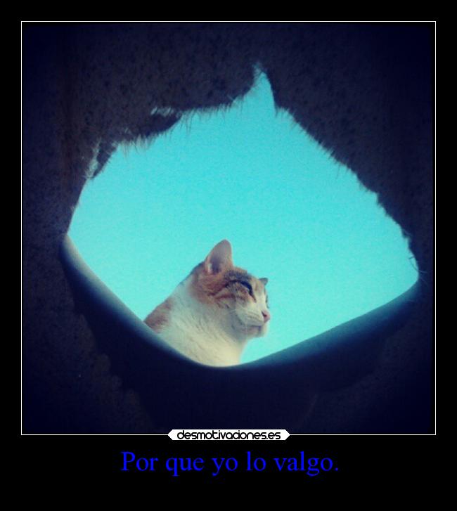 carteles bogota desmotivaciones