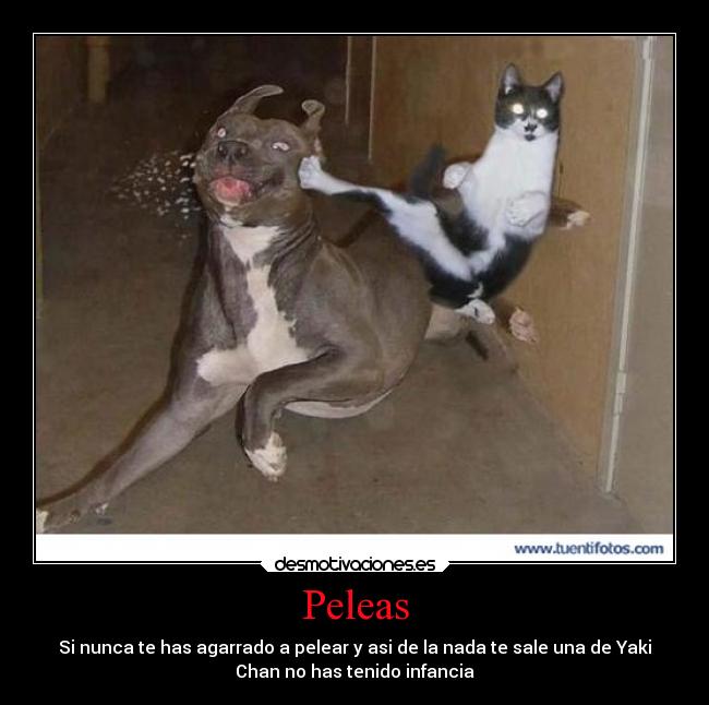 Peleas -