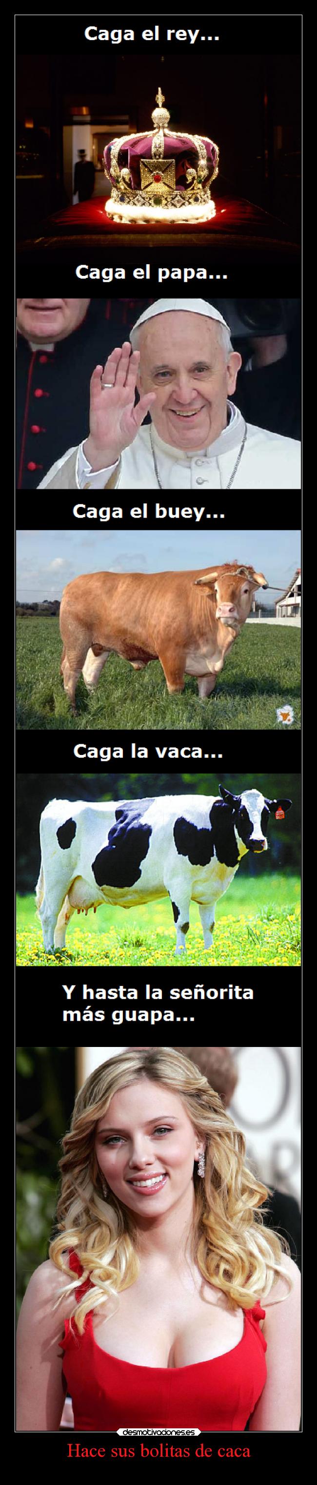 Hace sus bolitas de caca - 