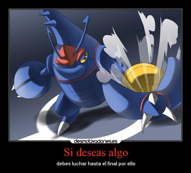 carteles pokemon mega heracross desmotivaciones