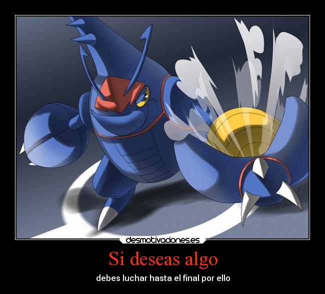 carteles pokemon mega heracross desmotivaciones