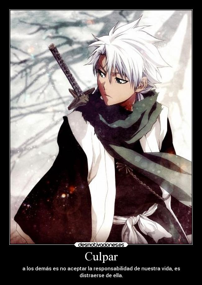 carteles anime bleach hitsugaya toshiro desmotivaciones