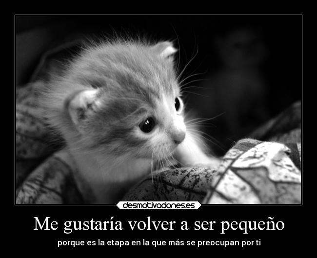 carteles pequeno etapa desmoc3 desmotivaciones