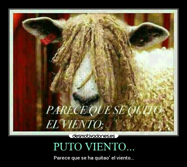 PUTO VIENTO... - 
