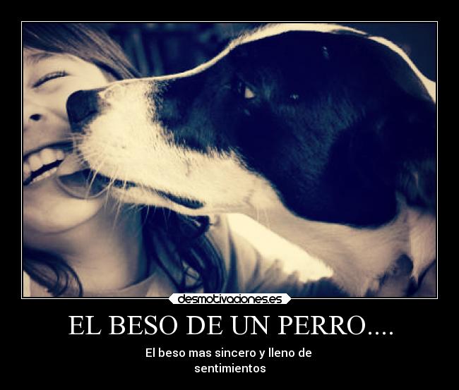 EL BESO DE UN PERRO.... - 