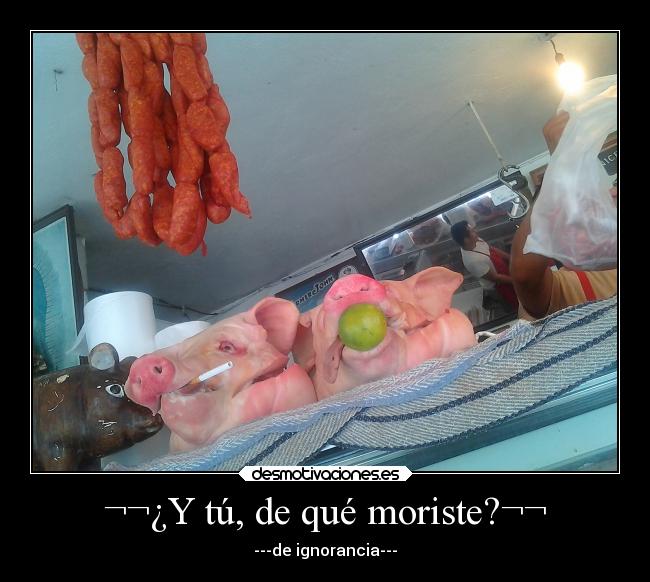 ¬¬¿Y tú, de qué moriste?¬¬ - ---de ignorancia---