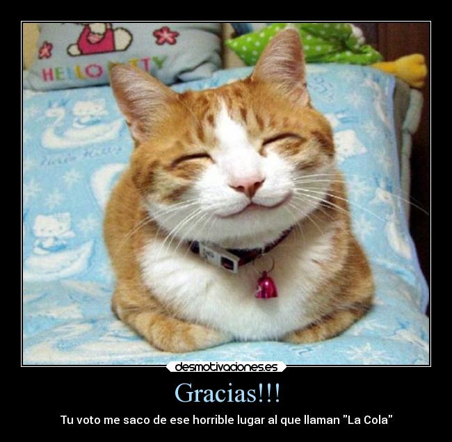 Gracias!!! - 