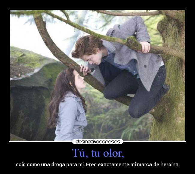 Tú, tu olor, - sois como una droga para mí. Eres exactamente mi marca de heroína.