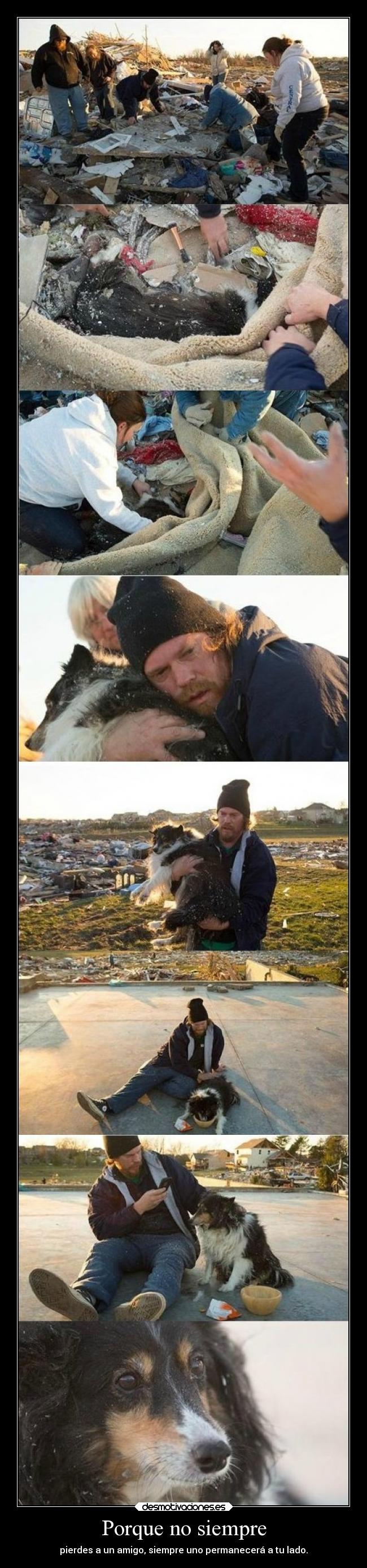 Porque no siempre - pierdes a un amigo, siempre uno permanecerá a tu lado.