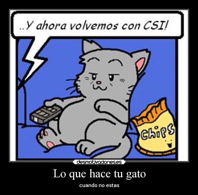 Lo que hace tu gato - 