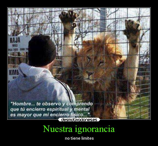 Nuestra ignorancia -