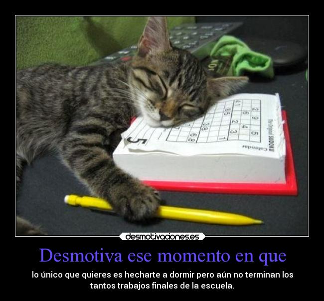 Desmotiva ese momento en que - lo único que quieres es hecharte a dormir pero aún no terminan los
tantos trabajos finales de la escuela.