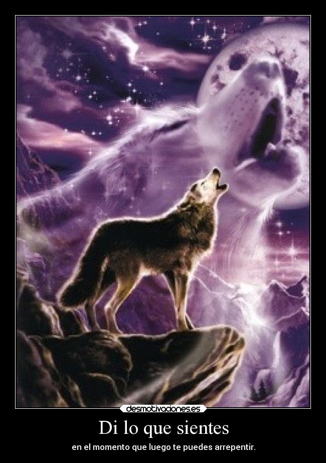 carteles sentimientos desmotivaciones