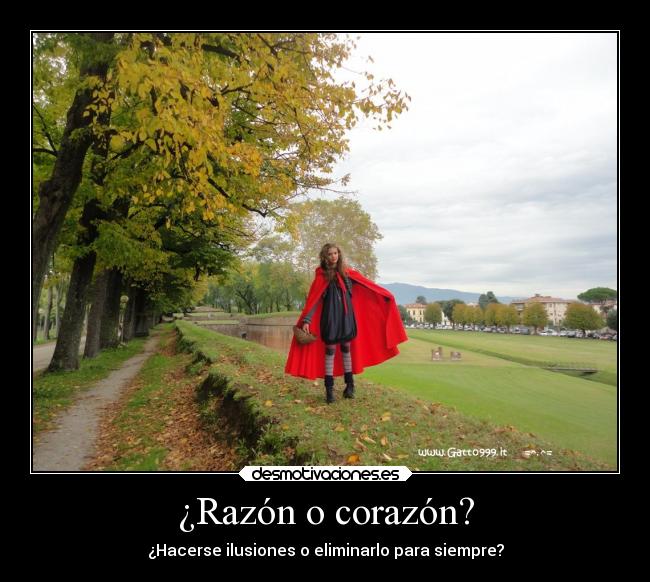 ¿Razón o corazón? -