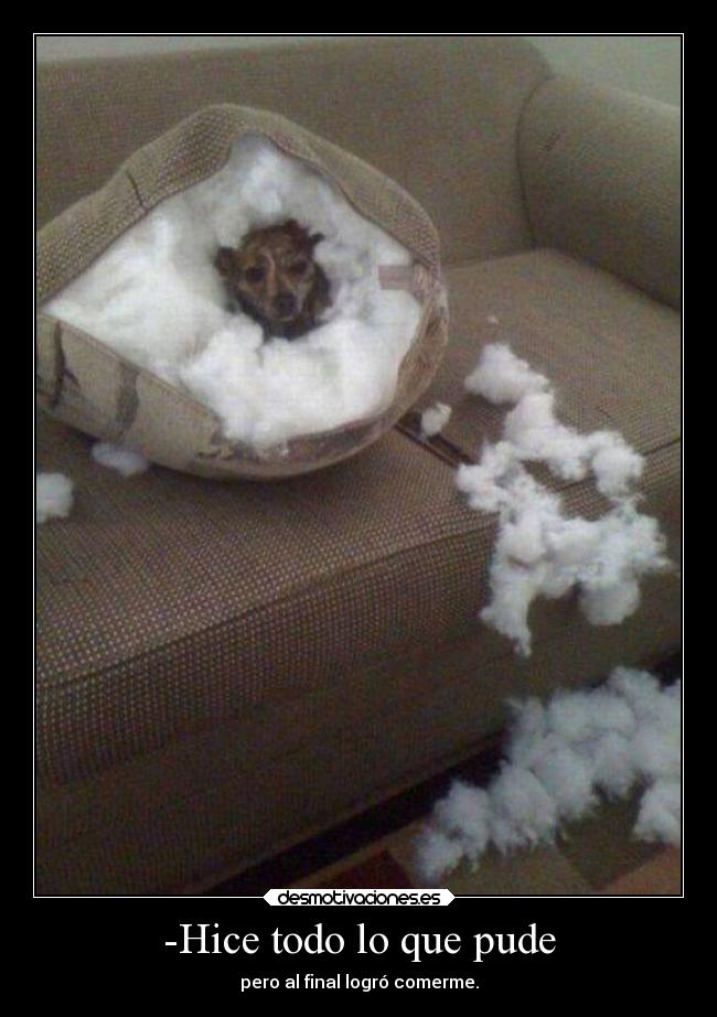 carteles breathe breathe breathe breathe breathe breathe breathe breathe breathe breathe atojsoacillobsknaht desmotivaciones