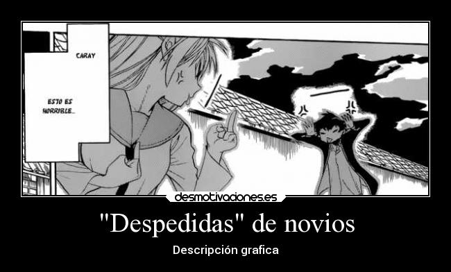 Despedidas de novios - Descripción grafica