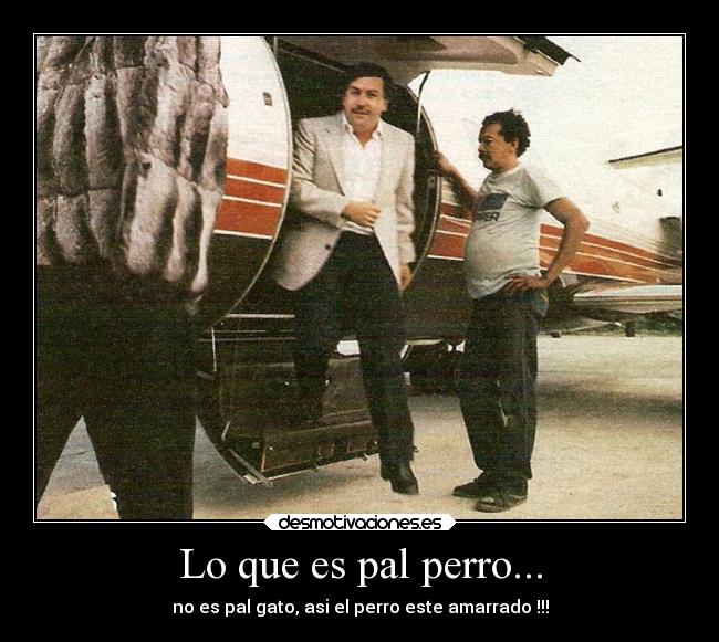 carteles pablo escobar desmotivaciones