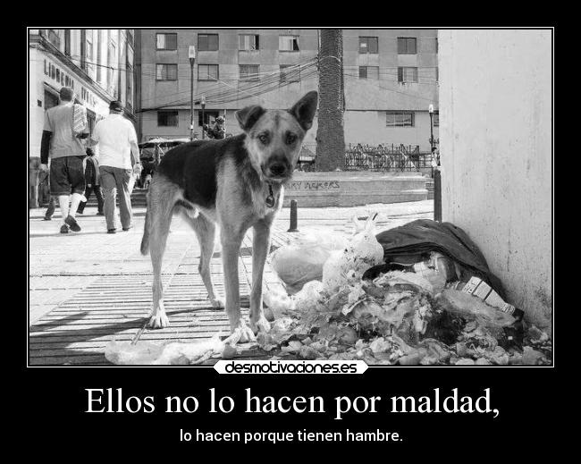 Ellos no lo hacen por maldad, -