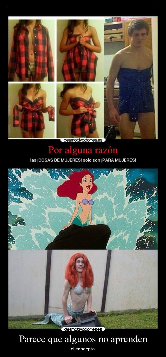 Parece que algunos no aprenden - el concepto.