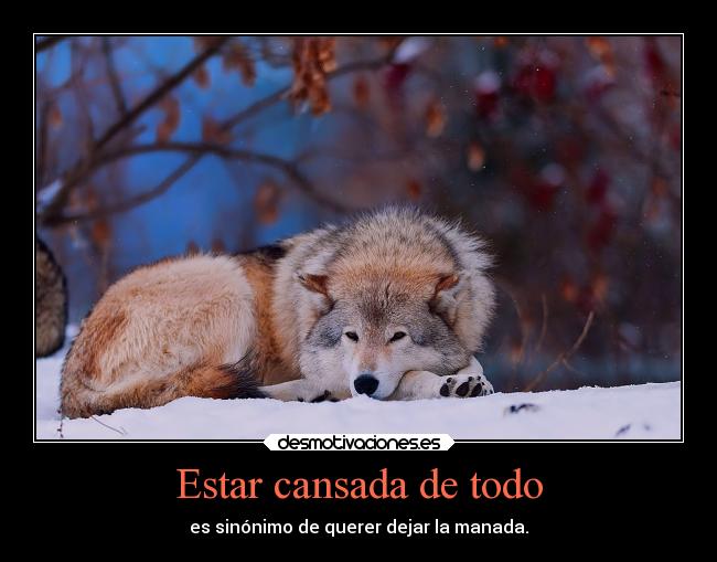 Estar cansada de todo -