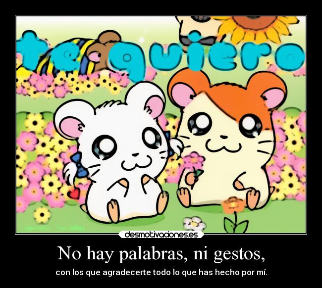 No hay palabras, ni gestos, -