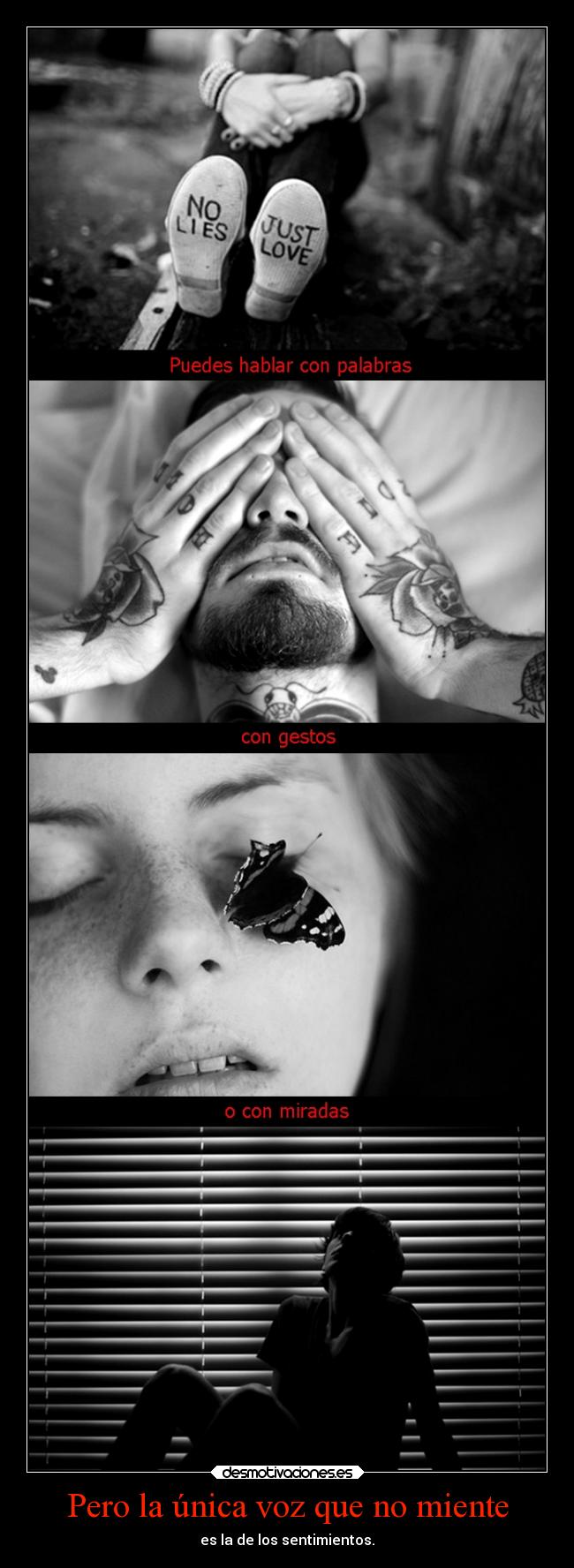 Pero la única voz que no miente - es la de los sentimientos.