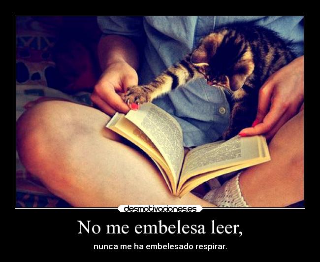 carteles literatura matar ruisenor desmotivaciones