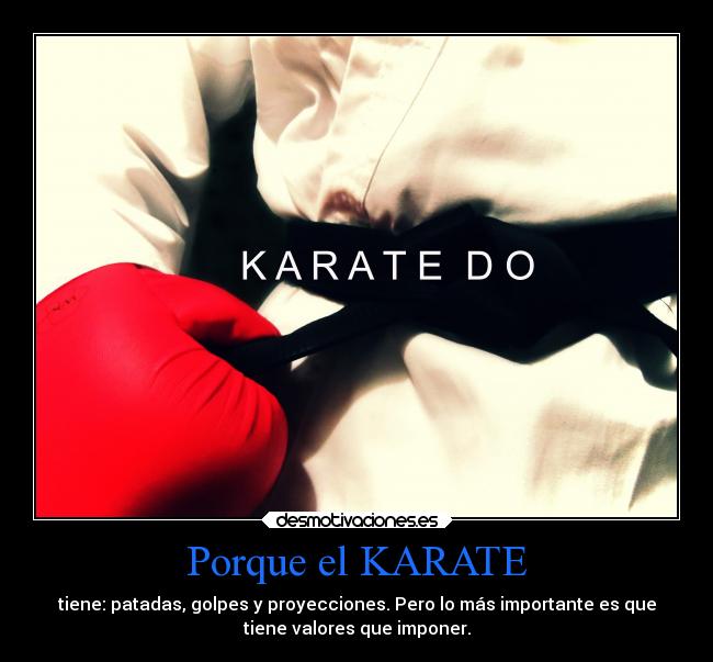 Porque el KARATE - 