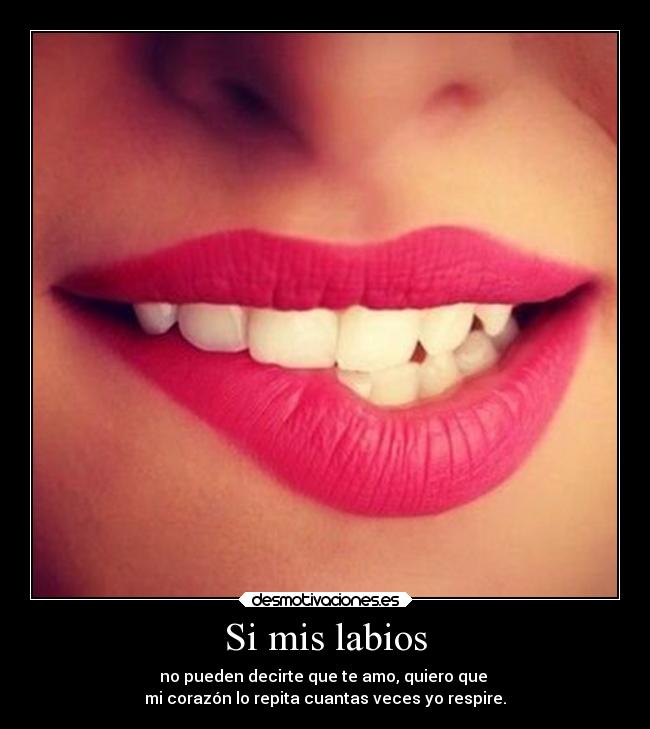 Si mis labios - 