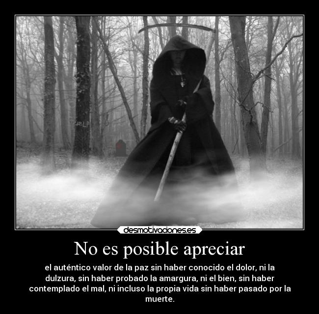 No es posible apreciar - el auténtico valor de la paz sin haber conocido el dolor, ni la
dulzura, sin haber probado la amargura, ni el bien, sin haber
contemplado el mal, ni incluso la propia vida sin haber pasado por la
muerte.