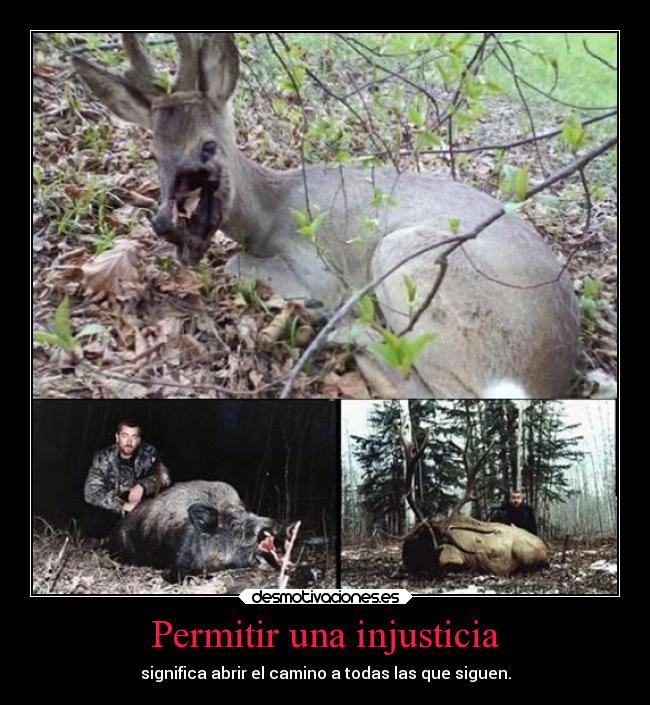 carteles cazadores animales desmotivaciones