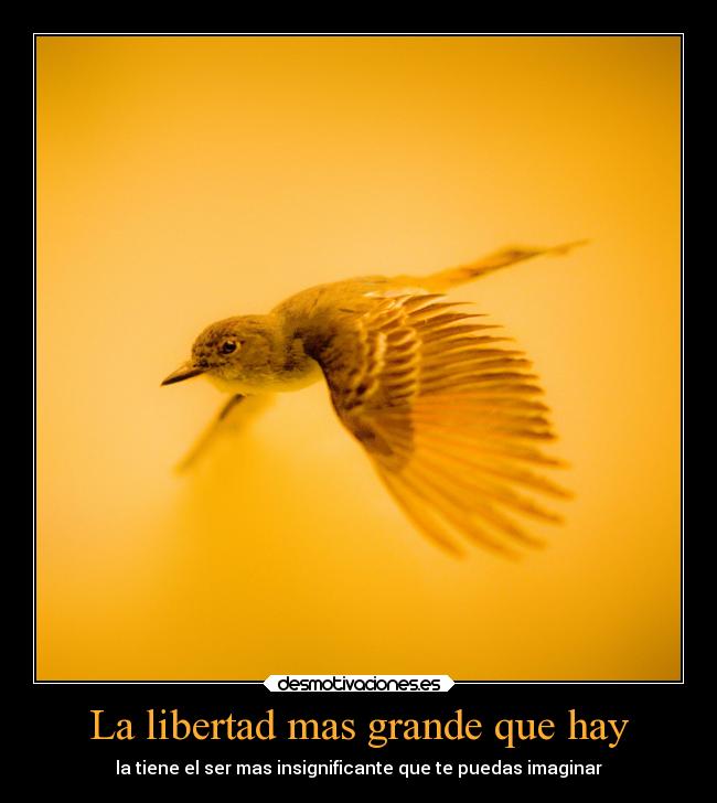 La libertad mas grande que hay - 