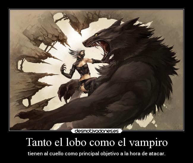 Tanto el lobo como el vampiro - tienen al cuello como principal objetivo a la hora de atacar.