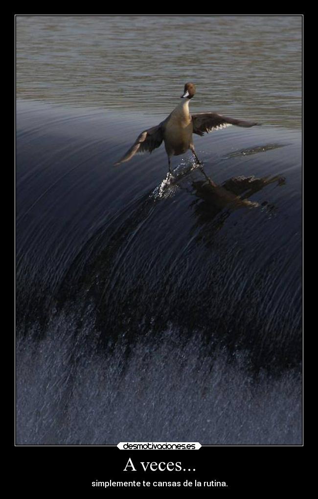 A veces... - 
