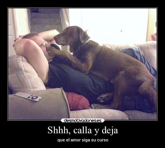 carteles perro amo una situacion muy intima desmotivaciones