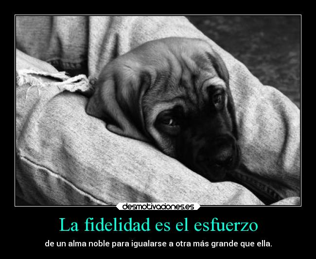 carteles amistad fidelidad fiel esfuerzo noble espexu desmotivaciones